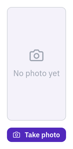 DmPhotoCapture — default, light theme